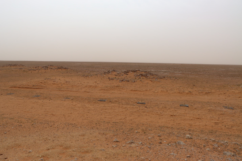 مجموعة من العناصر المعمارية في الموقع