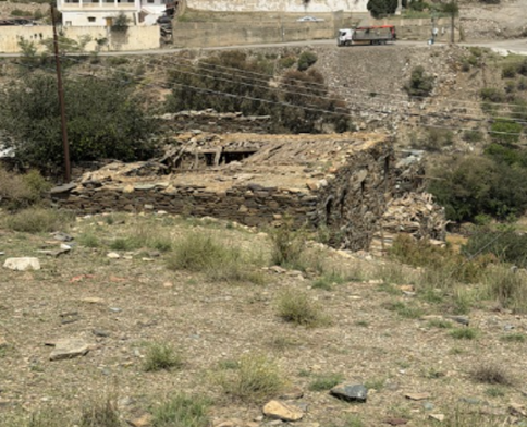 أحد الأسقف المغطاة بالطين وجذور الأشجار