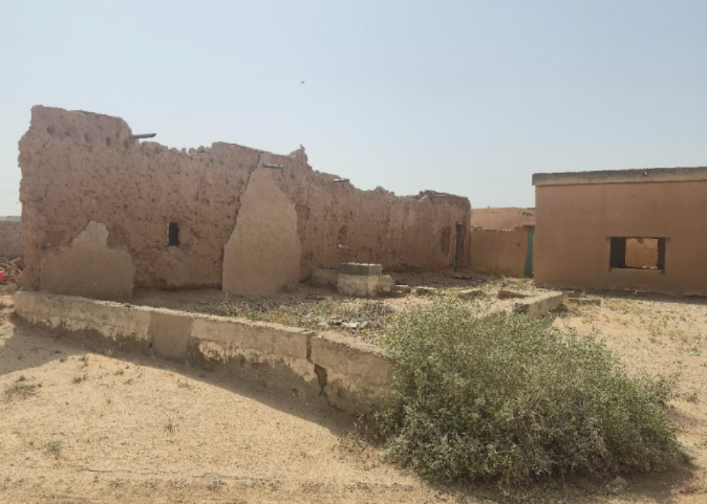 نمو الأعشاب الضارة وتخلخل الأساسات