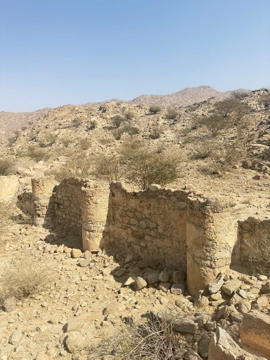 تهدم جزئي في الجدران الحجرية مع فقدان الأجزاء العلوية وتراكم الأنقاض