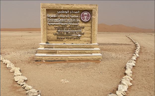 تفرع مساري المها العربي والربع الخالي في المحمية