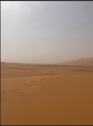 مشهد عام لمحمية عروق بني معارض