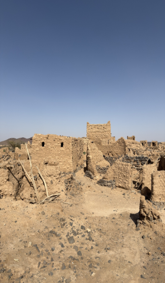 صُفينة