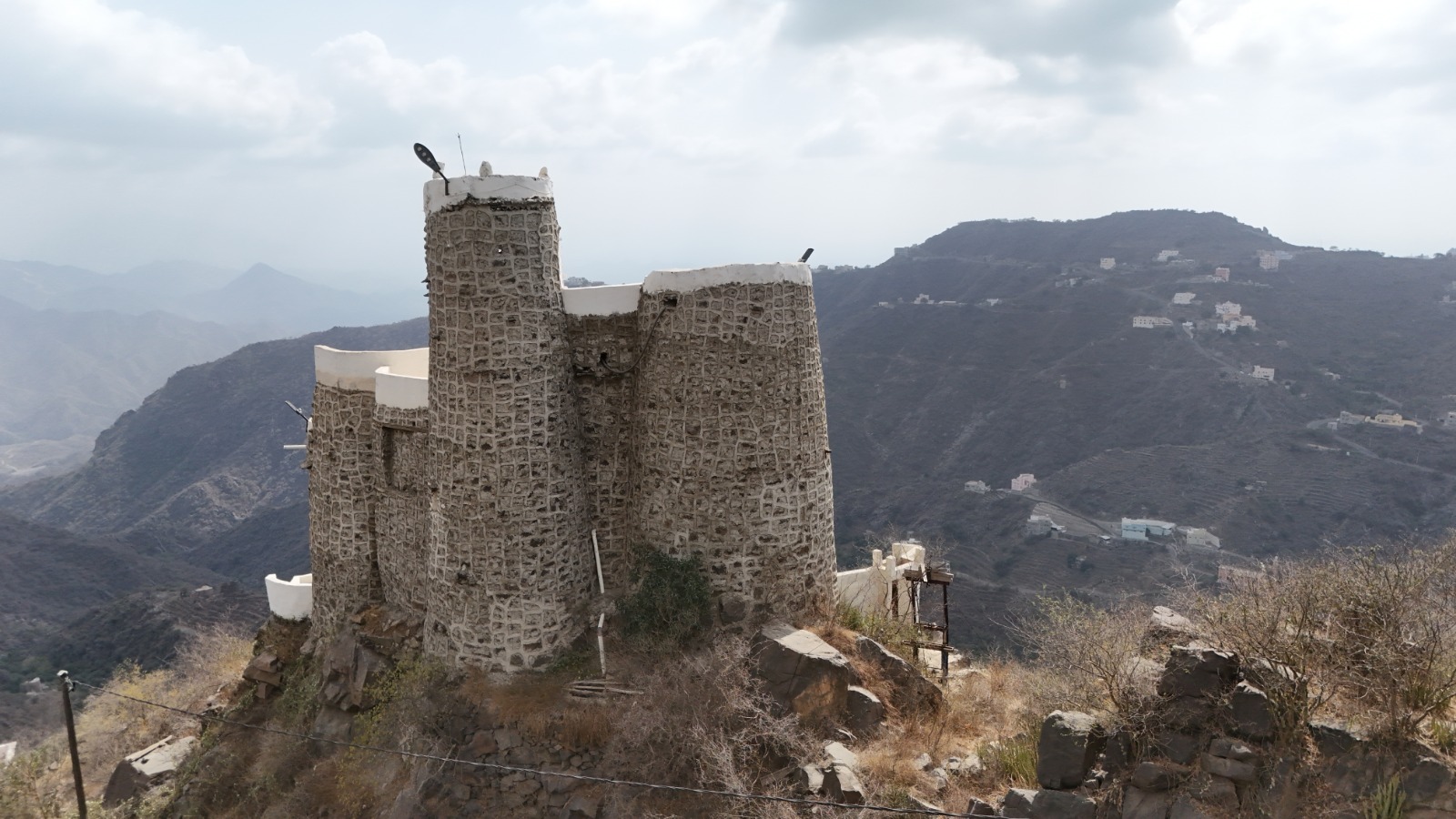 نمو النباتات في محيط البناء