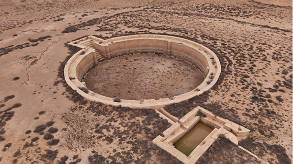 بركة الثليمة