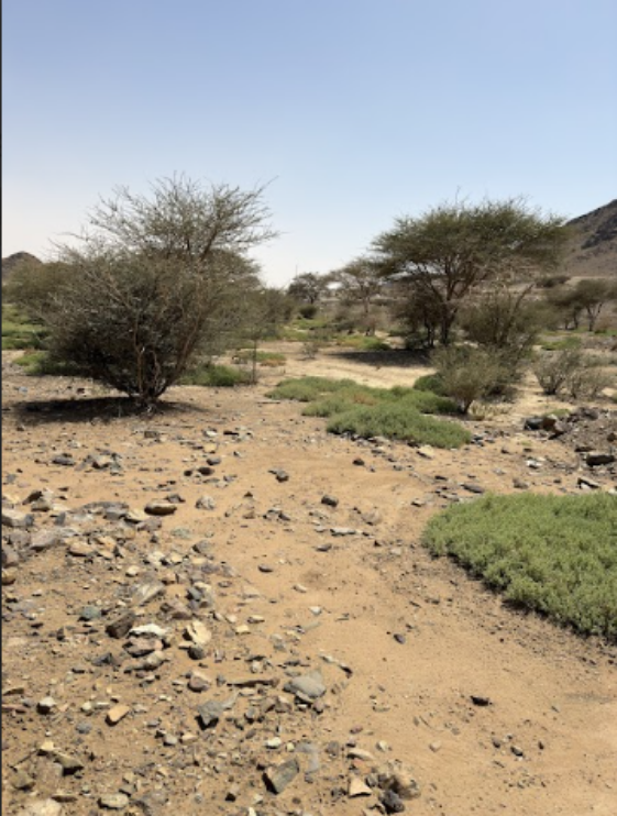 اندثار المعالم بفعل العوامل الجوية 