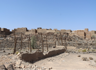 واد النخيل المحيط بالموقع