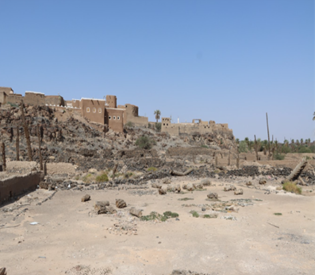 المسارات الطبيعية (غير معبدة) في محيط الموقع