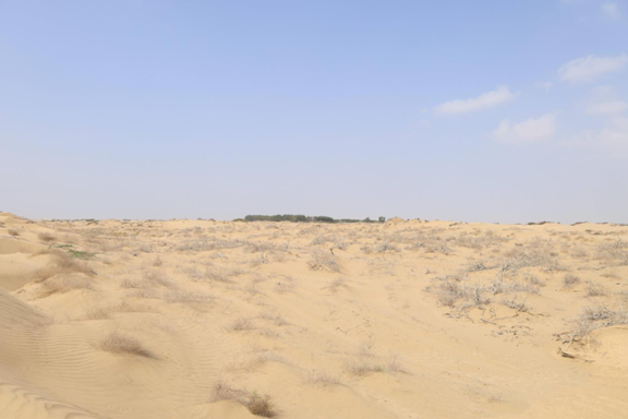 مساحة مفتوحة تضم مجموعة من القبور