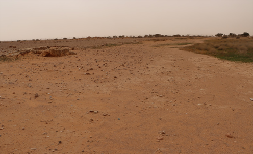 الرمال تغطي معظم معالم بركة الشاحوف 1