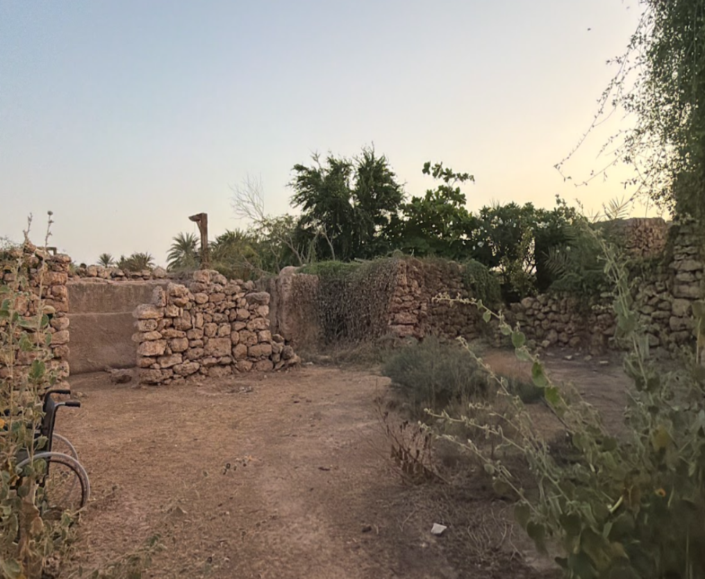 الغطاء النباتي الذي يصعّب الوصول إلى الغالبية العظمى من البيوت