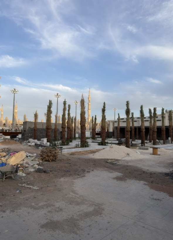 سقيفة بني ساعدة