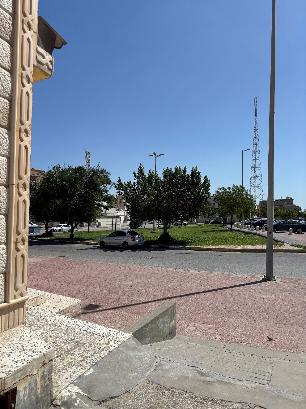 التشجير في وسط القطيف