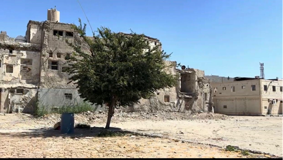 المظهر العام لوسط القطيف