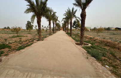 المعالم التاريخة، ومزارع النخيل