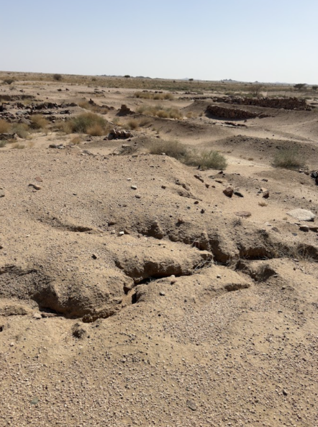 الربذة