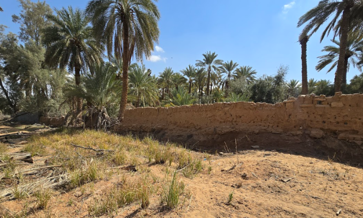 نهاية امتدادات الهياكل الحجرية من داخل المزرعة