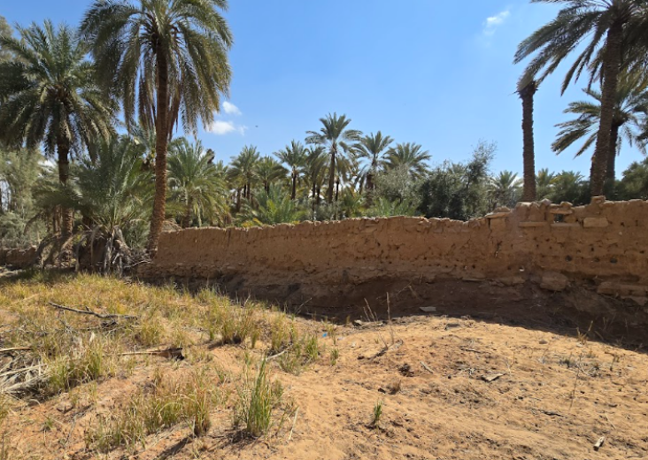 الهياكل الحجرية لما قبل التاريخ في دومة الجندل