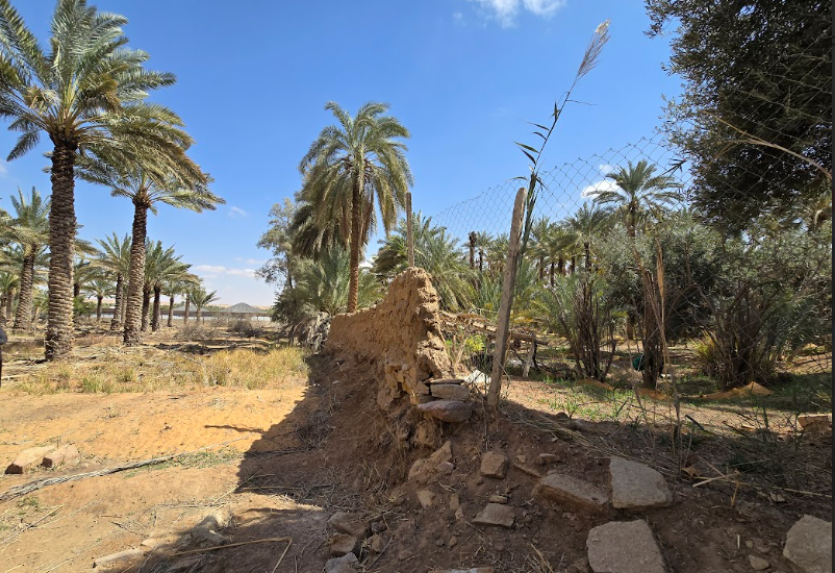 بداية امتدادات الهياكل الحجرية من داخل المزرعة