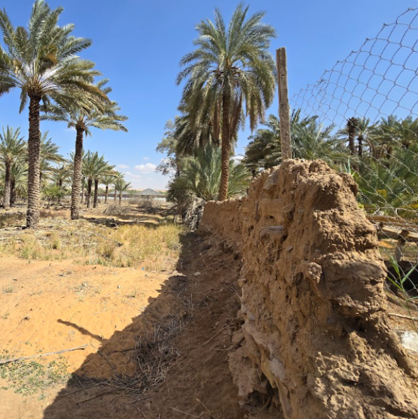 بقايا الهيكل المشيّد من الطوب اللبن