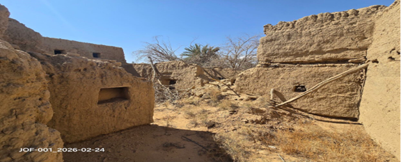 تكسر في الشجر المحيط بمباني الحي بفعل الرياح والإهمال