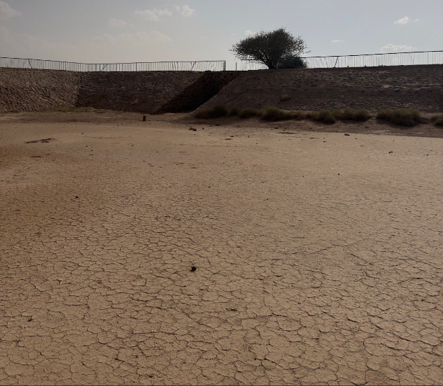 تشققات بالتربة داخل البركة بسبب الجفاف