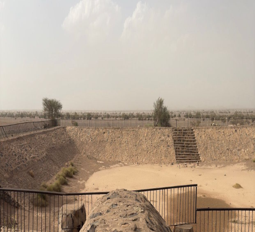 السياج الحديدي المحيط بالبركة